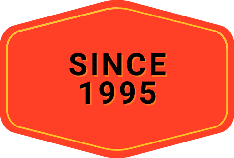 1995 icon 1